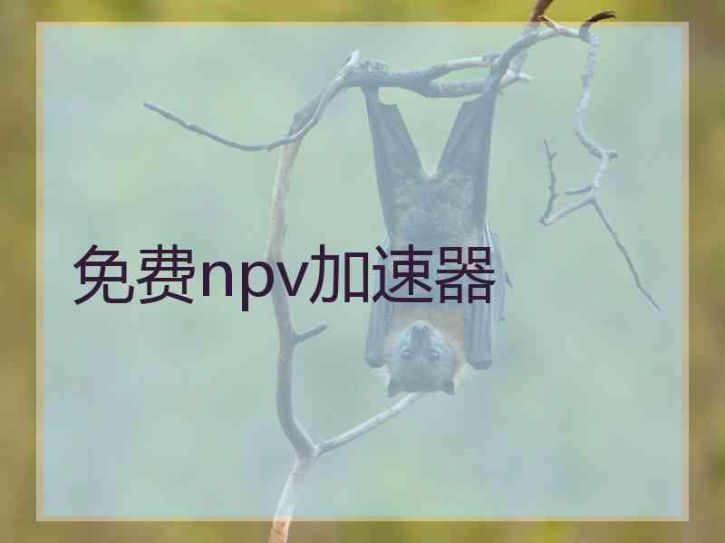 免费npv加速器