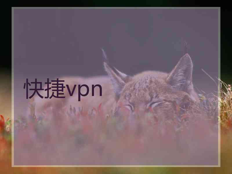 快捷vpn