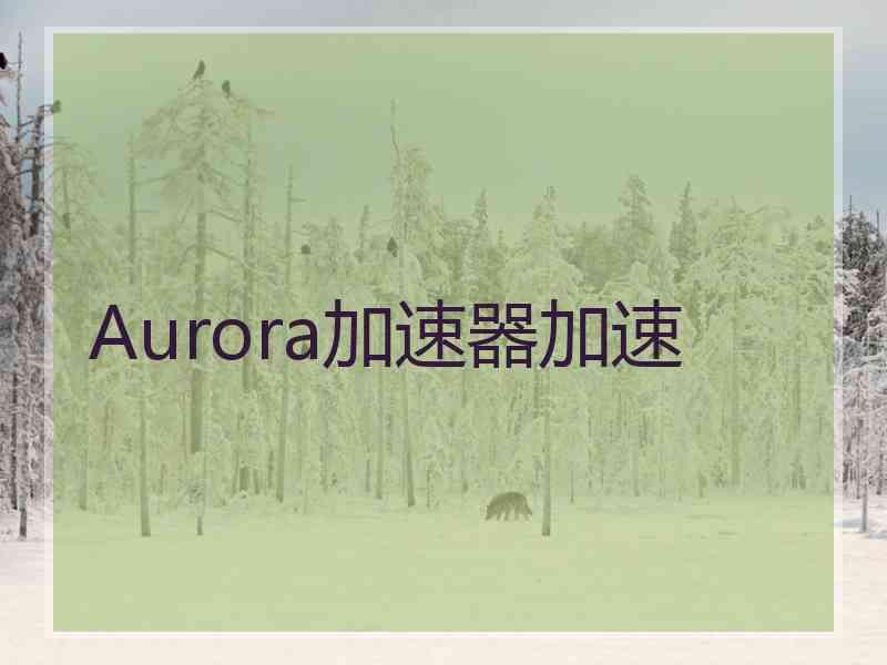 Aurora加速器加速