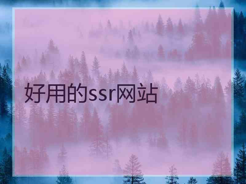 好用的ssr网站