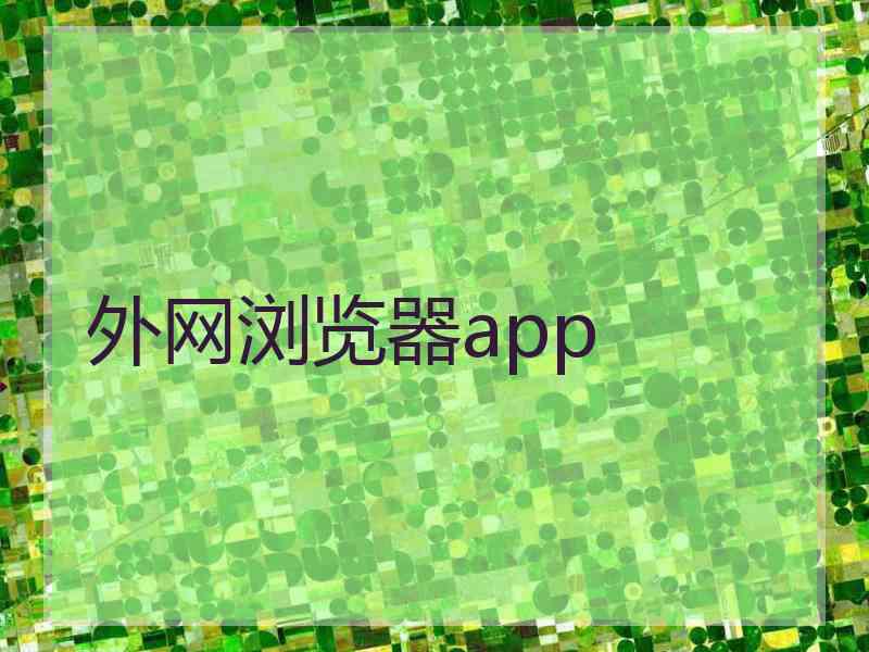 外网浏览器app