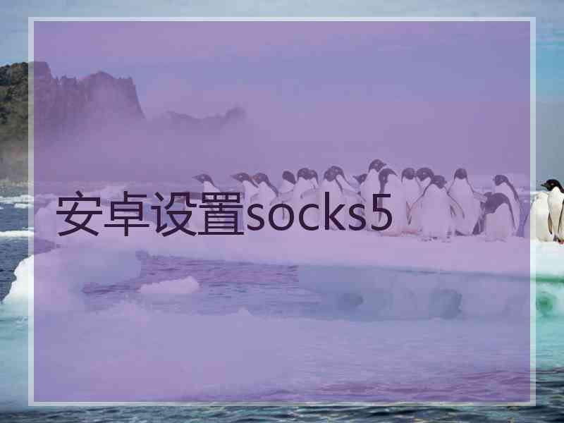 安卓设置socks5