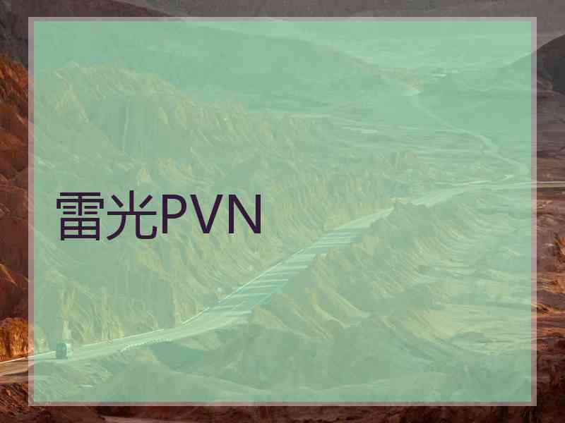 雷光PVN