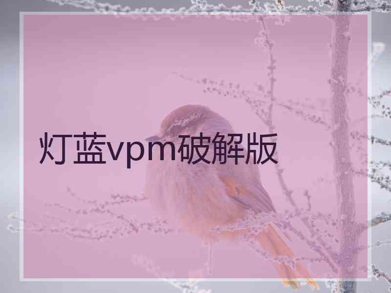 灯蓝vpm破解版