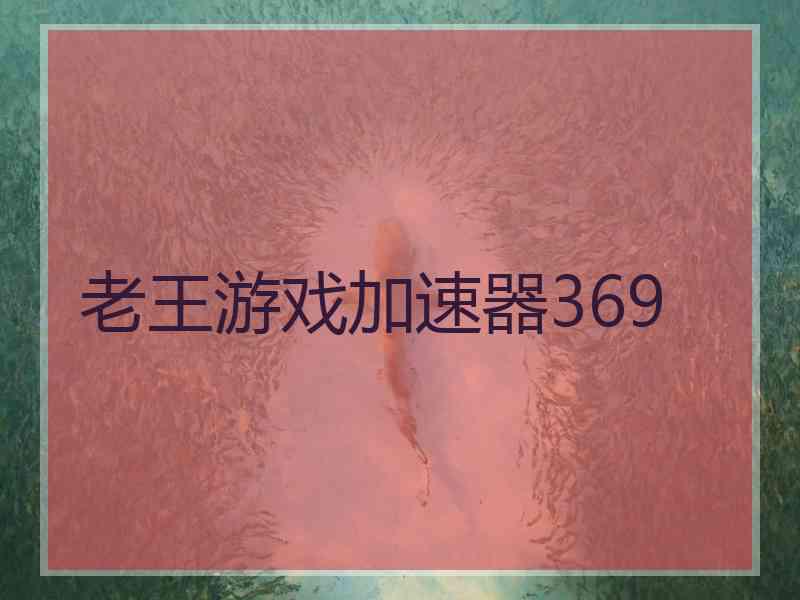 老王游戏加速器369