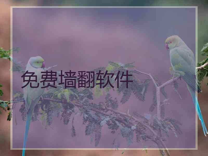 免费墙翻软件