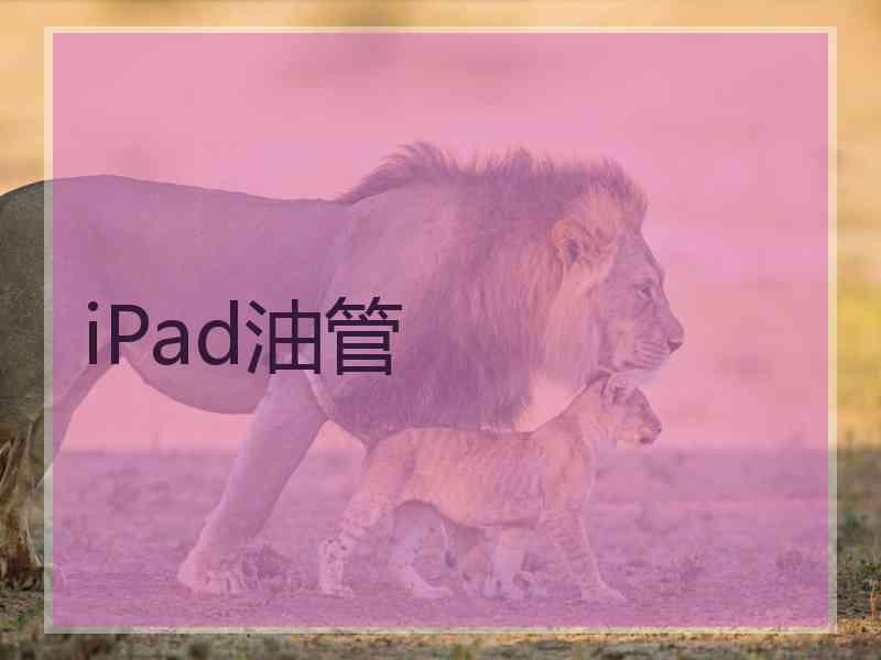 iPad油管