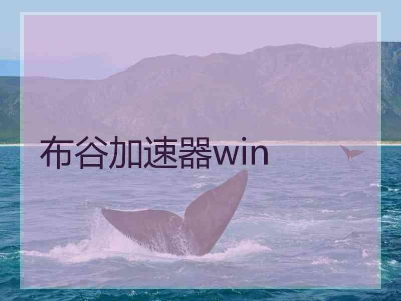 布谷加速器win