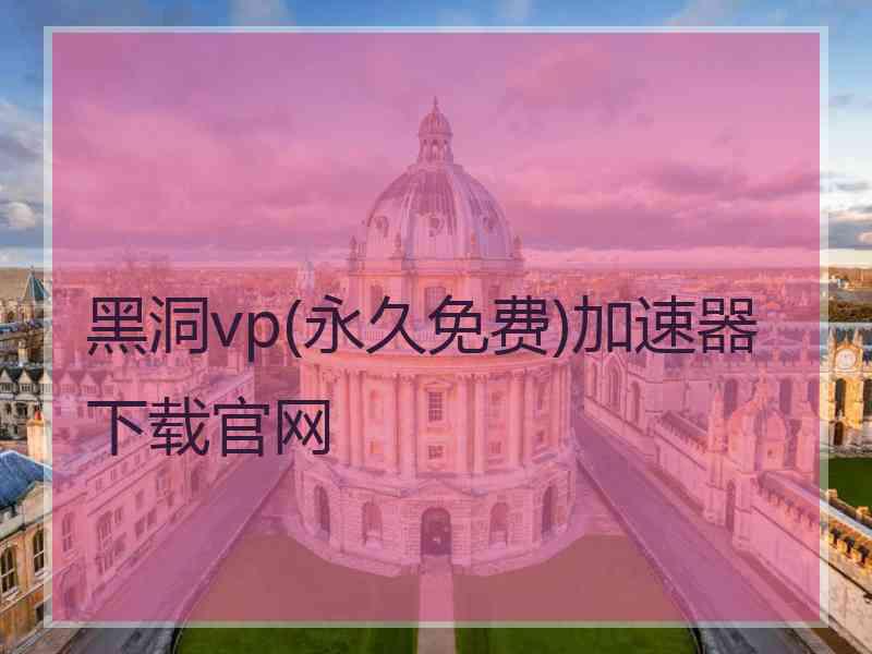 黑洞vp(永久免费)加速器下载官网