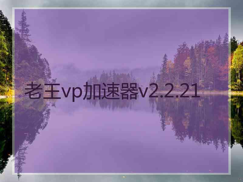 老王vp加速器v2.2.21