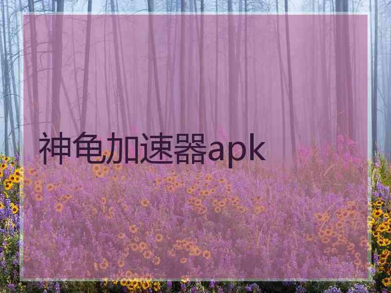 神龟加速器apk