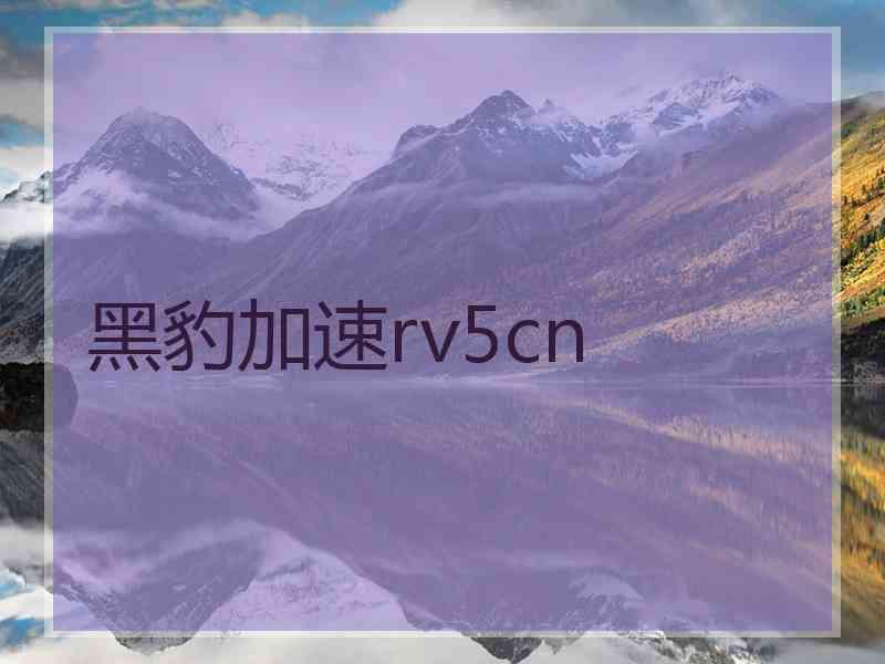 黑豹加速rv5cn