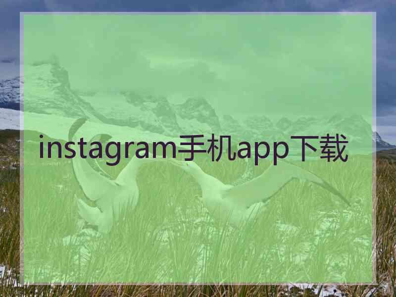 instagram手机app下载