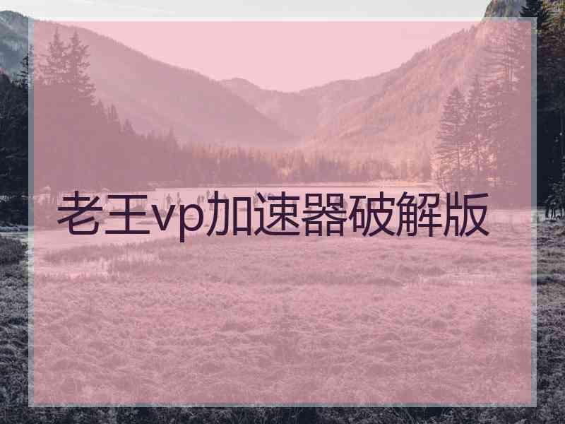 老王vp加速器破解版